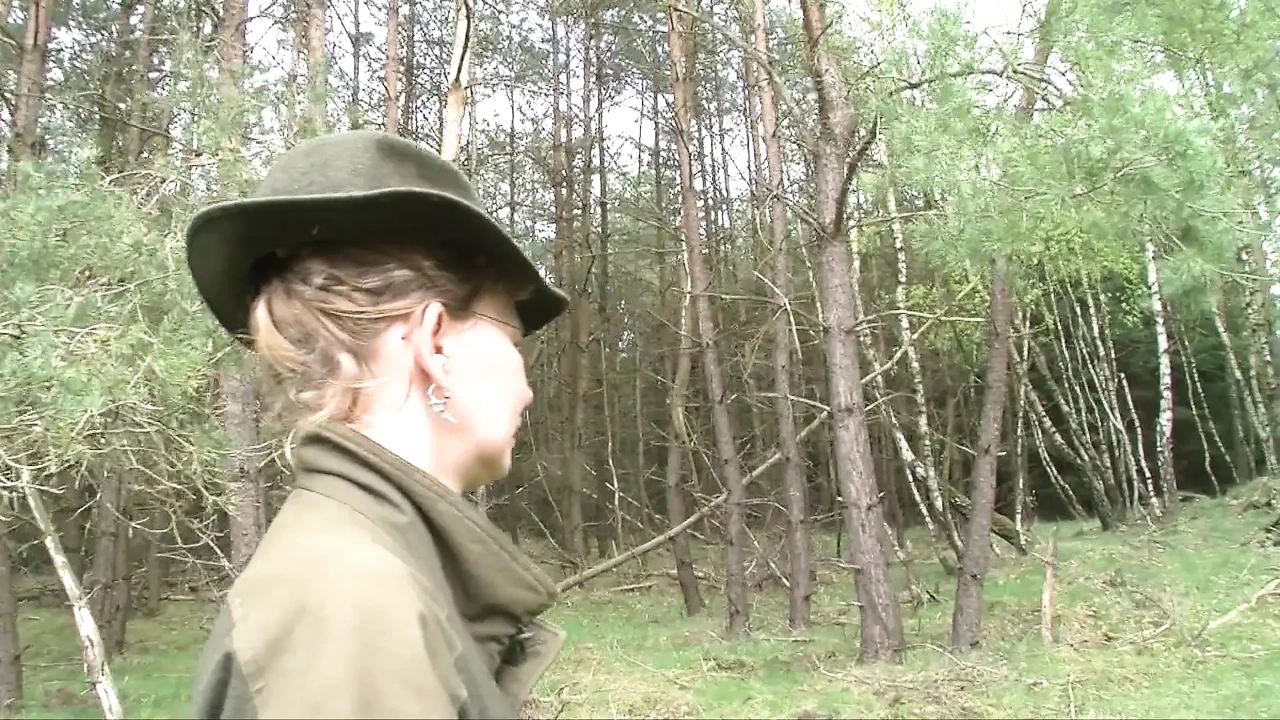 来自树林的狂野性爱故事!