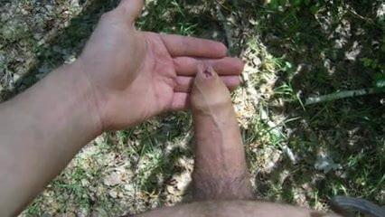 In the Forest 2
