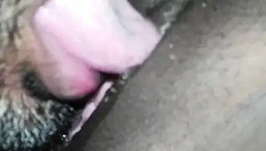 Hot village bhabhi's Pussy Licking by her brother-in-law