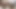Exotic4k siyah güzellik kendall orman mükemmel kedi dövülerek