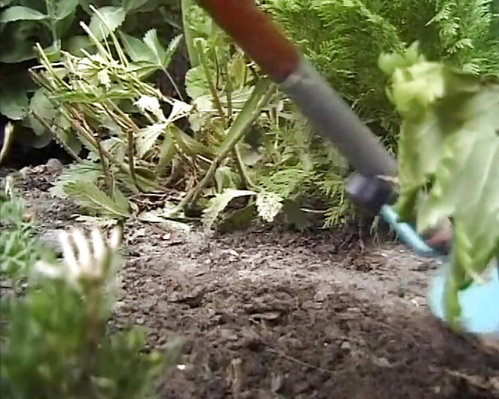 Sexy Girls Loves Getting Naked, Pissing Deep Fuck with Big Cocks Compilation