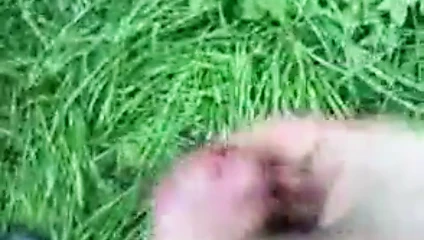 Gruene'de boşalma