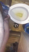 Pratinjau video