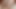 GFに彼女の猫をこするように言ってベッドでけいれんする