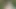 Im Wald wichsen und abspritzen