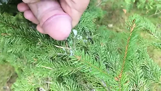 Jerk in the Wood
