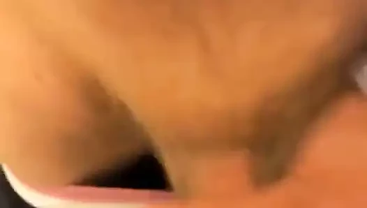 Homo erectus 371