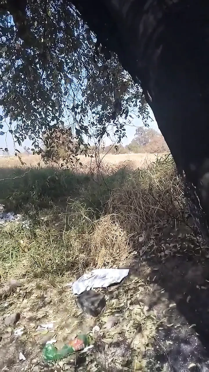 Fun Outside