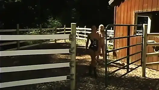 Adrianna Nicole, Annie Cruz, Sandra Romain, Kat, Lee Stone and Mark Davis