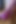 Princess Kimberly`s sexy dangling show! NO AUDIO