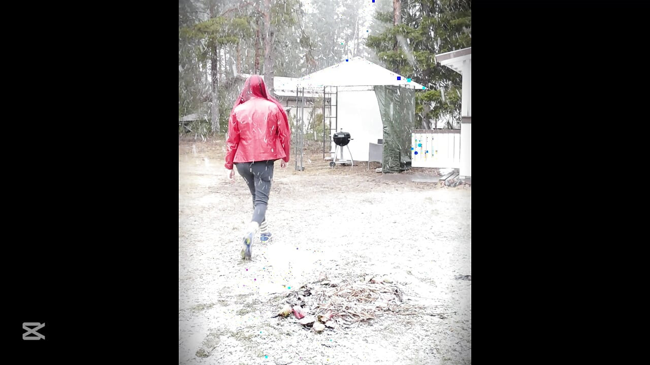 Little walk in snowfall