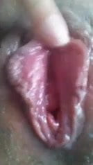 Klebrige Muschi