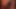 Suzanna Cumpilation