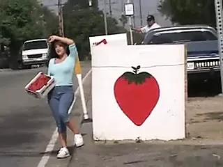 Misty Mendez DP fucked in a van