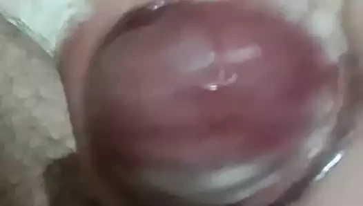 Gozaputa