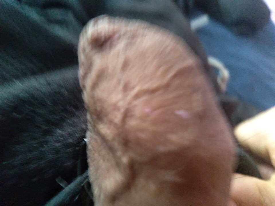 Young man offers his mega cock to anyone who wants to suck it