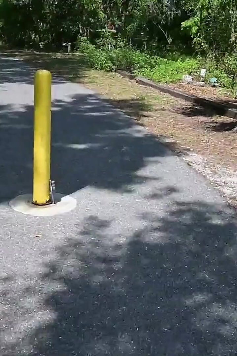 Full Day Video