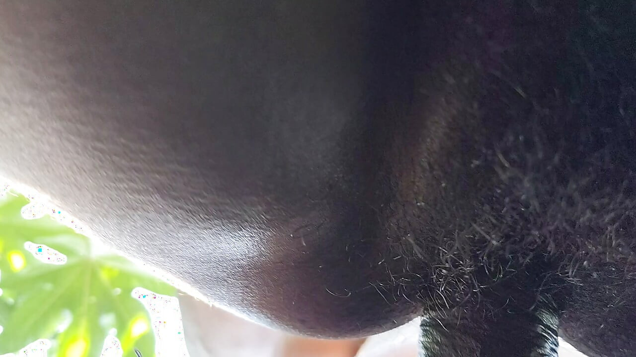 Sister-in-law itches in