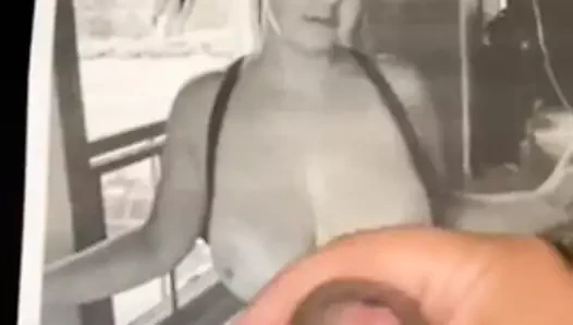 Naukitty haraç