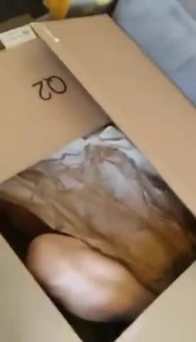 Un Regalito