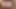 それが従順なロシア人の継娘とセックスするべき方法だ。