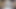 シェービングフォームで毛深い陰部を剃る!クローズアップ!
