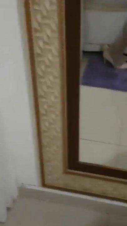 guy sucks shemale cock