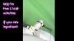 Pregled videozapisa