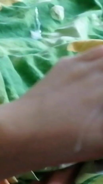My stepsister helps me cum with her soft feet | Clip 1