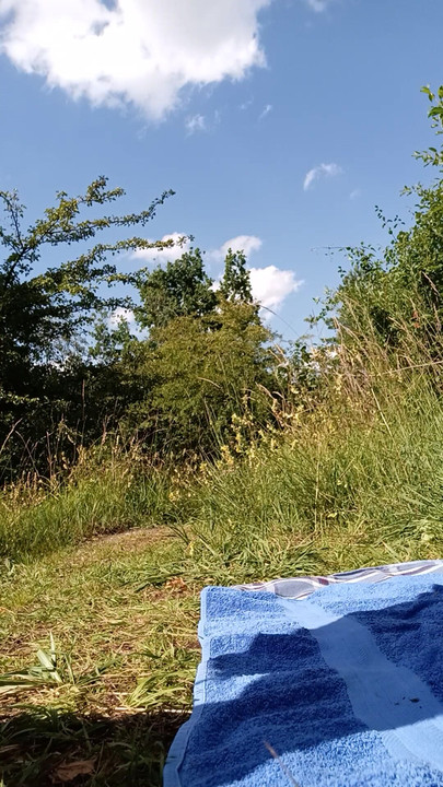 outdoor bitch