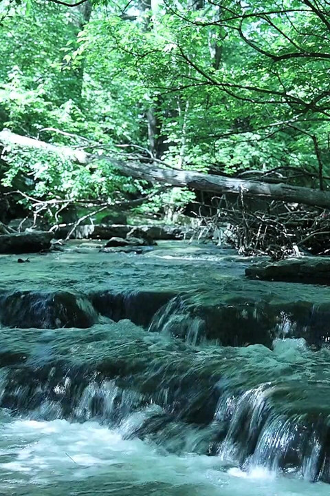 Расгибаясь у водопада, пытаясь украдать немного частного момента