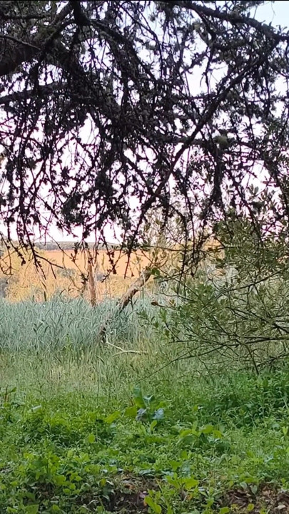 Spermă afară | Clipul 1