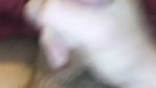 Bob