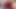 21 years old Hot Indian model  sucking my big dick