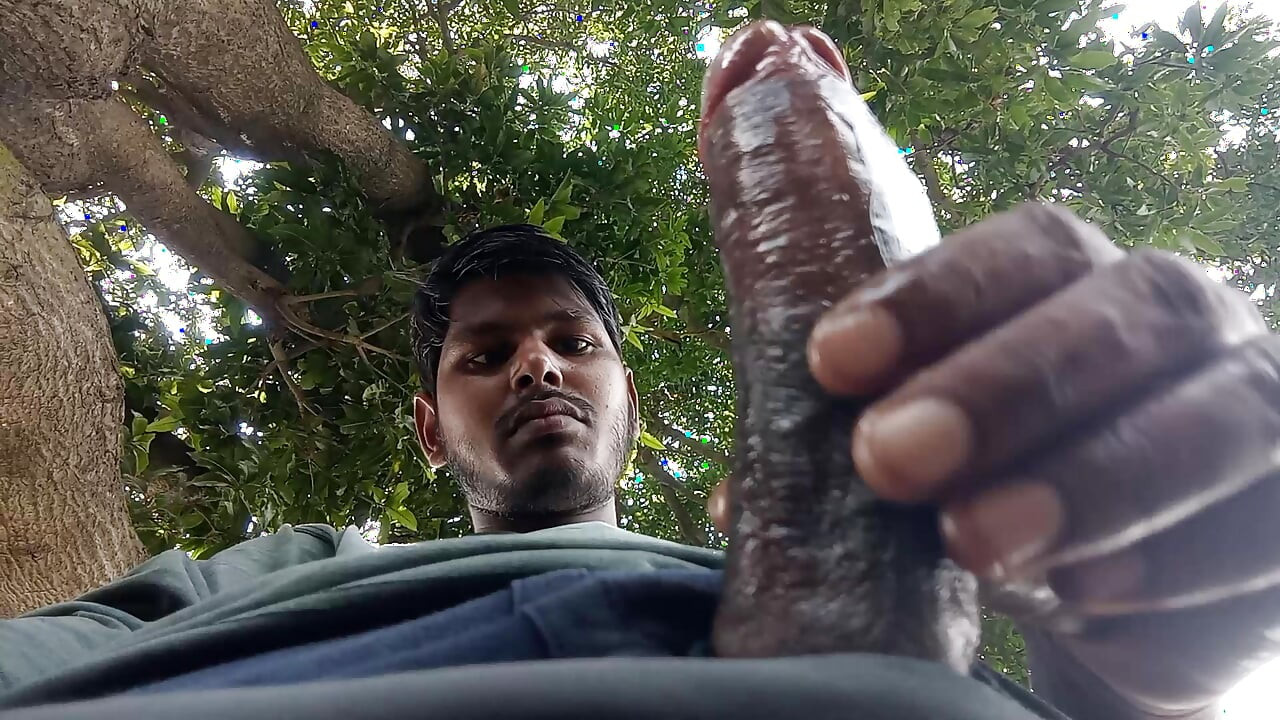 Do you like this big land