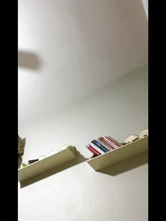 I put it in the mouth of the girl I arranged from the bar and fucked her with a dildo