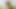 Güzel Kolombiyalı orta yaşlı seksi kadın büyük yarakla sikiliyor - İspanyolca porno
