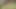 Maya Hills mutfağında büyük bir siyah yarağı emiyor ve sikiyor