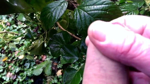 Quick wank outdoors