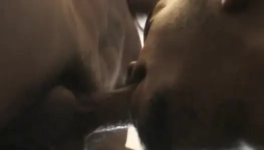 Flexible Stud Deepthroats His Own Throbbing Cock