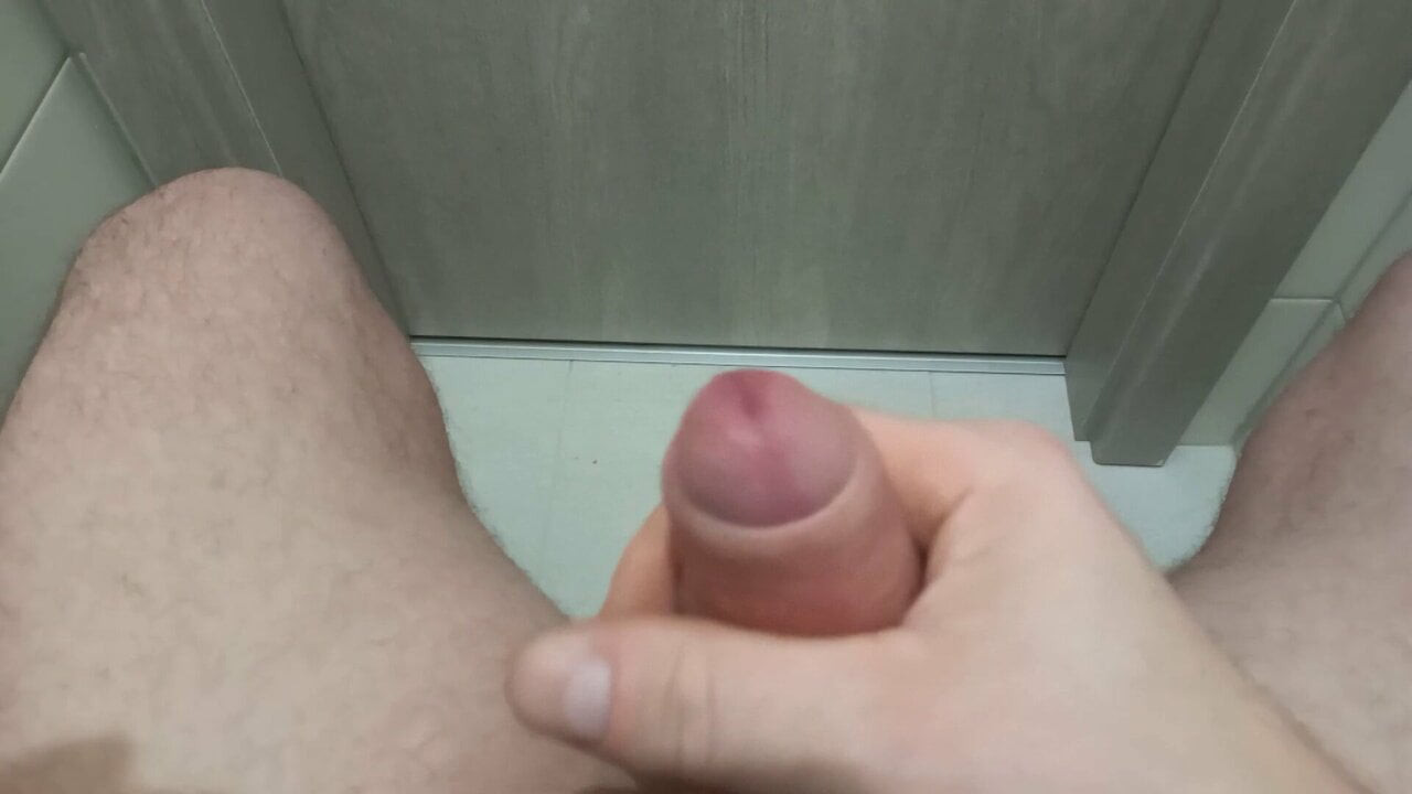 Penis