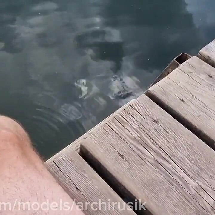 Cum Cruise Stranger