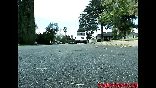 Поиск мира Shane и Destry на помощь!