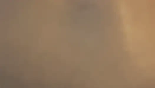 Das ist eine nasse arsch-muschi