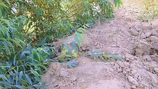 Pawg culo bionda cougar viene scopata nel parco