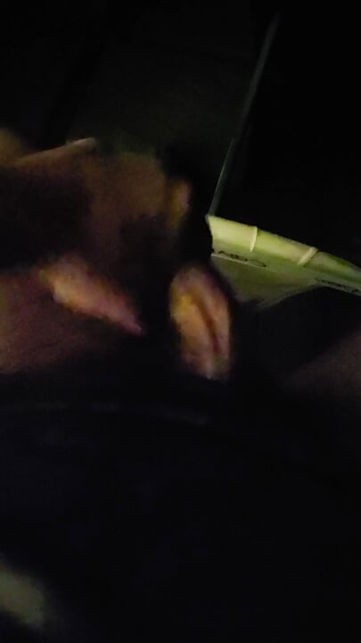 A Horny Bear Wank