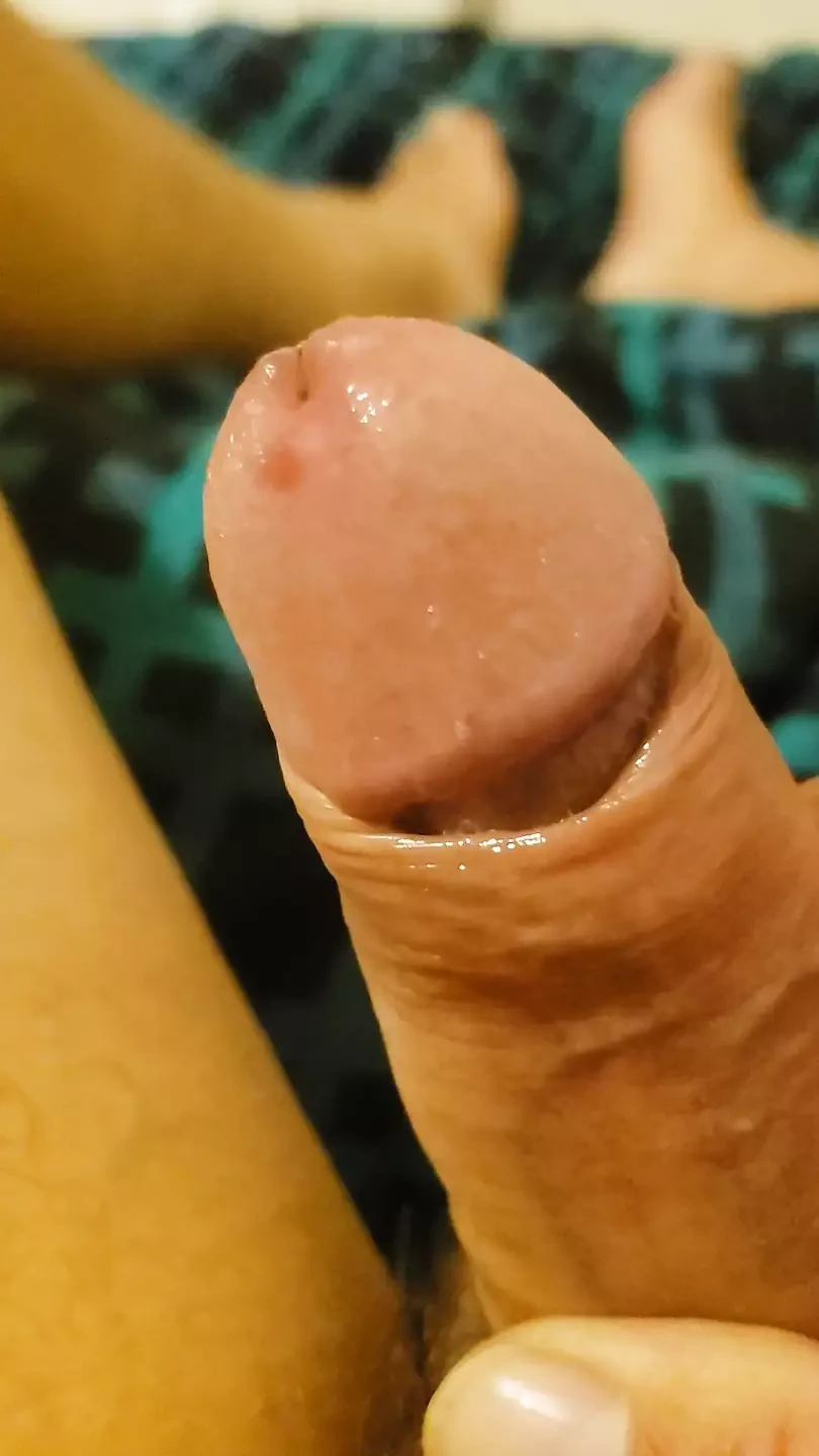 Paja