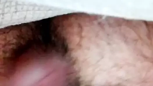 Gustito