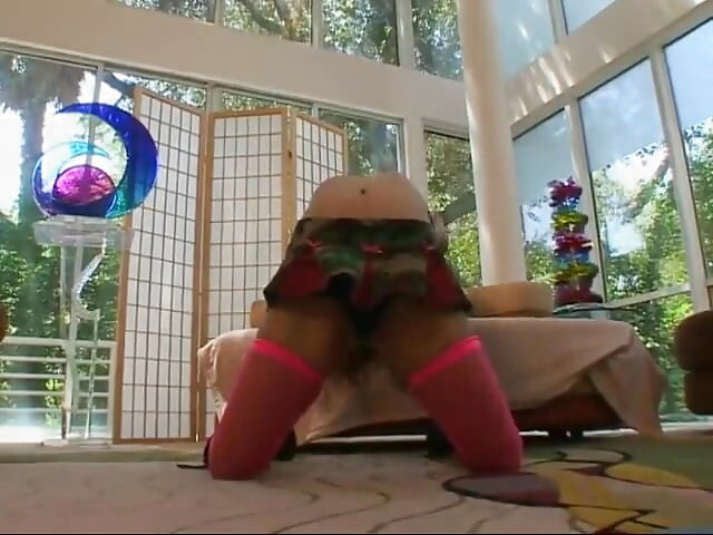 Cockaholics Anonymous