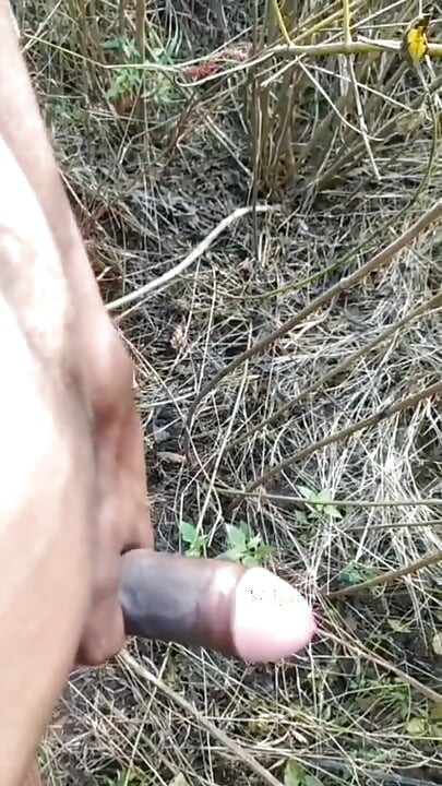 Outdoor Cumshot Complaition In Jungle